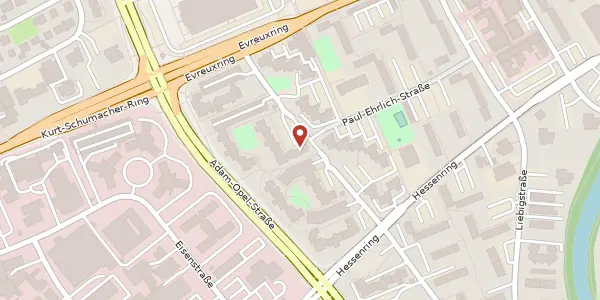 Karte der Umgebung von Robert-Bunsen-Str. 21, 65428 Rüsselsheim