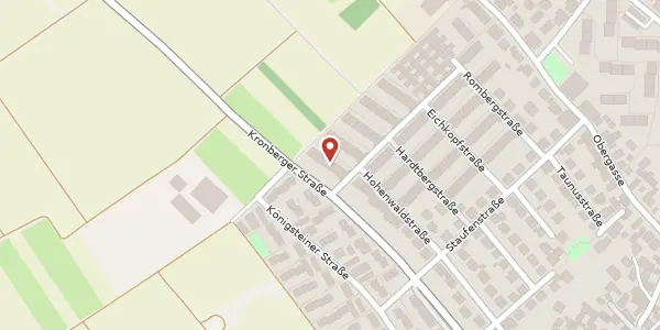 Karte der Umgebung von Rossertstr. 117, 61449 Steinbach