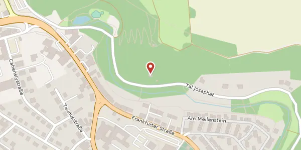 Karte der Umgebung von Tal Josaphat 3, 65549 Limburg