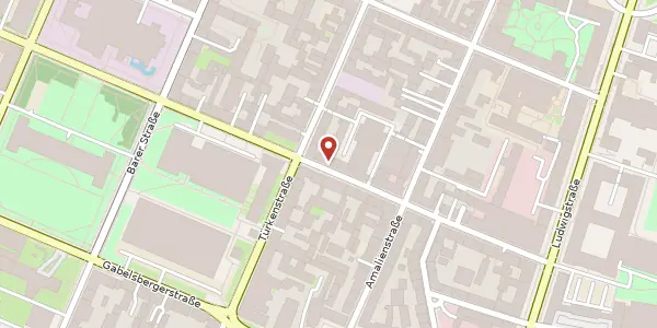 Karte der Umgebung von Theresienstr. 40, 80333 München
