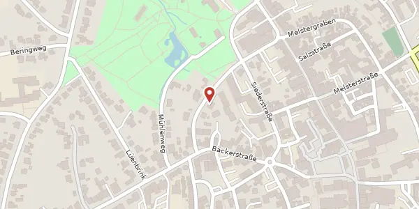 Karte der Umgebung von Erbsälzerstr. 21, 59457 Werl