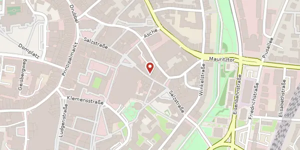 Karte der Umgebung von Salzstr. 18, 48143 Münster
