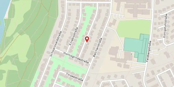Karte der Umgebung von Schliffkopfstraße 25, 68163 Mannheim