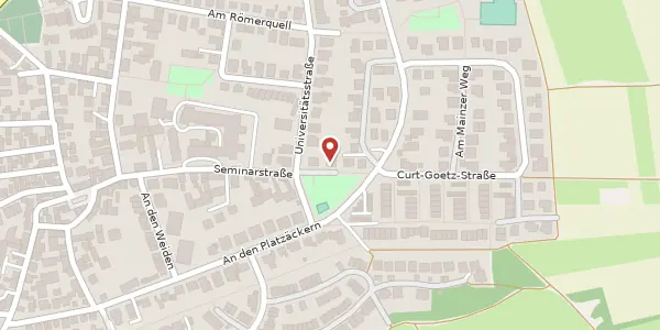 Karte der Umgebung von Seminarstraße 12, 55127 Mainz