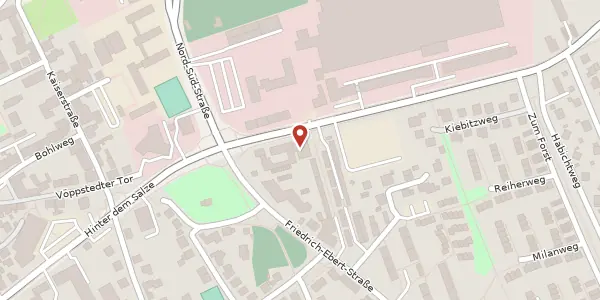 Karte der Umgebung von Windmühlenbergstraße 13, 38259 Salzgitter
