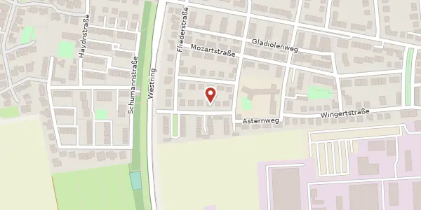 Karte der Umgebung von Nelkenstraße 4, 67227 Frankenthal (Pfalz)