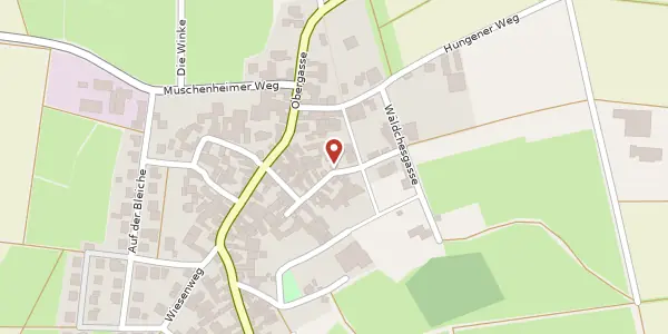 Karte der Umgebung von Schulgasse 12, 35423 Lich