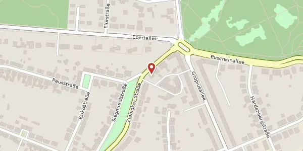 Karte der Umgebung von Ziebigker Str. 55, 06846 Dessau-Roßlau