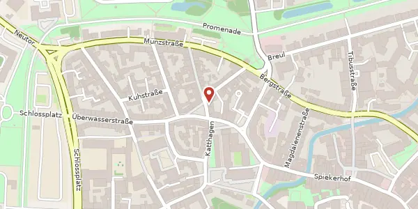 Karte der Umgebung von Rosenplatz 7, 48143 Münster