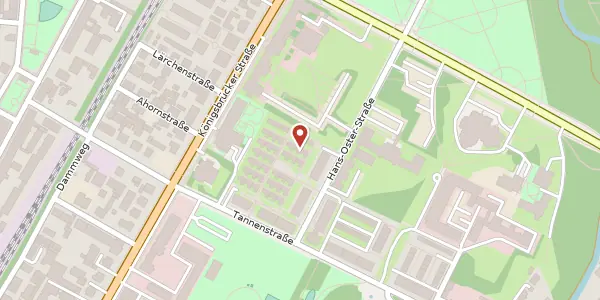 Karte der Umgebung von Hans-Oster-Straße 31 a, 01099 Dresden