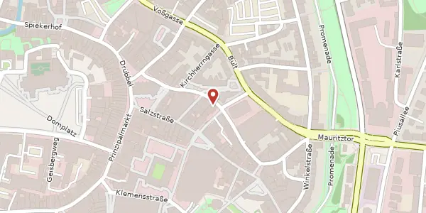 Karte der Umgebung von Alter Steinweg 46, 48143 Münster