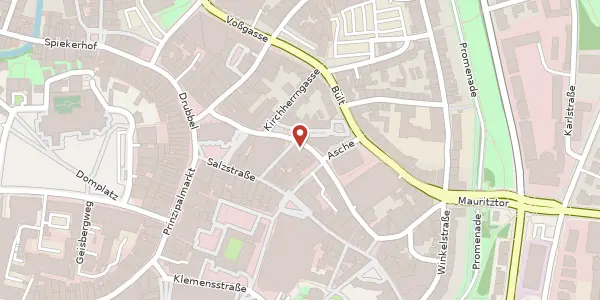 Karte der Umgebung von Alter Steinweg 47, 48143 Münster