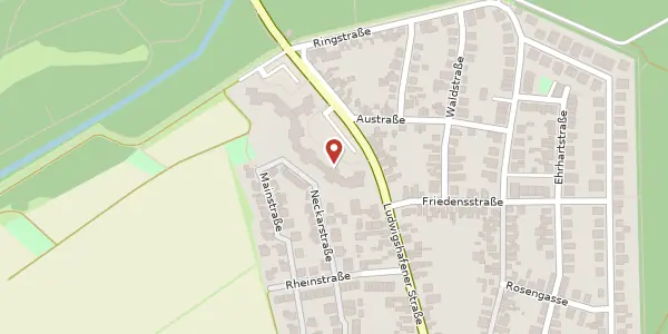 Karte der Umgebung von Ludwigshafener Straße 125, 67141 Neuhofen