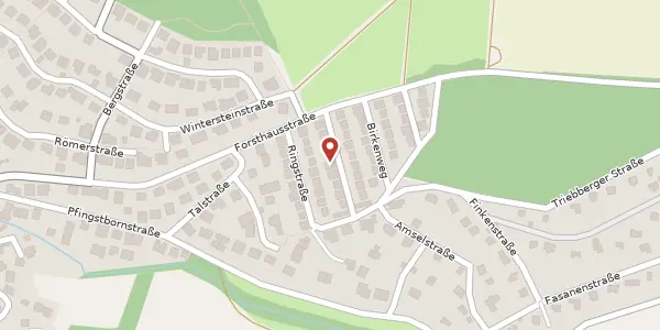 Karte der Umgebung von Buchenweg 9, 61273 Wehrheim