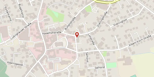 Karte der Umgebung von Konermannstr. 16, 59387 Ascheberg