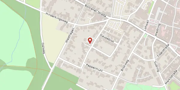 Karte der Umgebung von Heidelohstr. 13, 48249 Dülmen