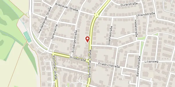 Karte der Umgebung von Mannheimer Straße 51, 68782 Brühl
