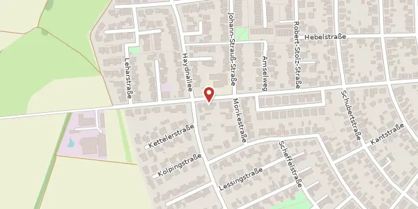 Karte der Umgebung von Speyerer Straße 47, 68799 Reilingen