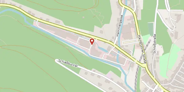 Karte der Umgebung von Langenthaler Str. 4, 69434 Hirschhorn