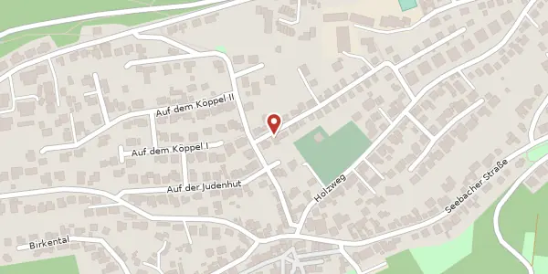 Karte der Umgebung von Langer Wingert 29, 67098 Bad Dürkheim