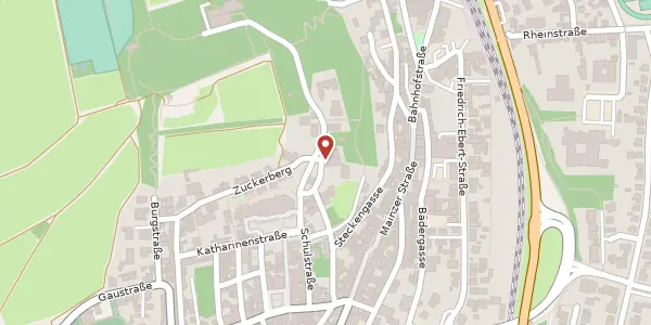 Karte der Umgebung von Dalbergerstraße 19, 55276 Oppenheim
